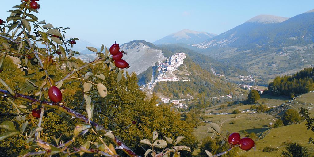 Anticarua B&B Opi Dış mekan fotoğraf